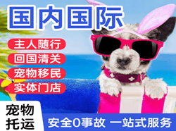 贵阳航空物流国际宠物托运 【国